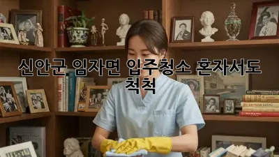 신안군 임자면 입주청소, 혼자서도 척척!