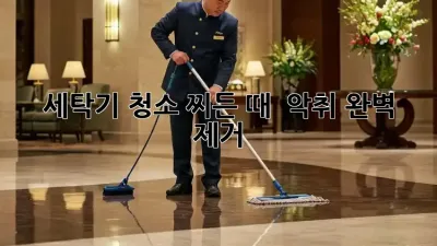 세탁기 청소, 찌든 때 & 악취 완벽 제거!