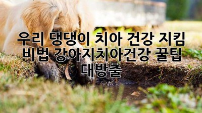 ✨ 우리 댕댕이 치아🦷 건강 지킴 비법! #강아지치아건강 꿀팁 대방출! ✨