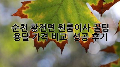 순천 황전면 원룸이사 꿀팁🍯 용달 가격 비교 & 성공 후기